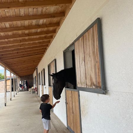 House Of Horses Shtepia E Kuajve Hotel Korce Exterior foto