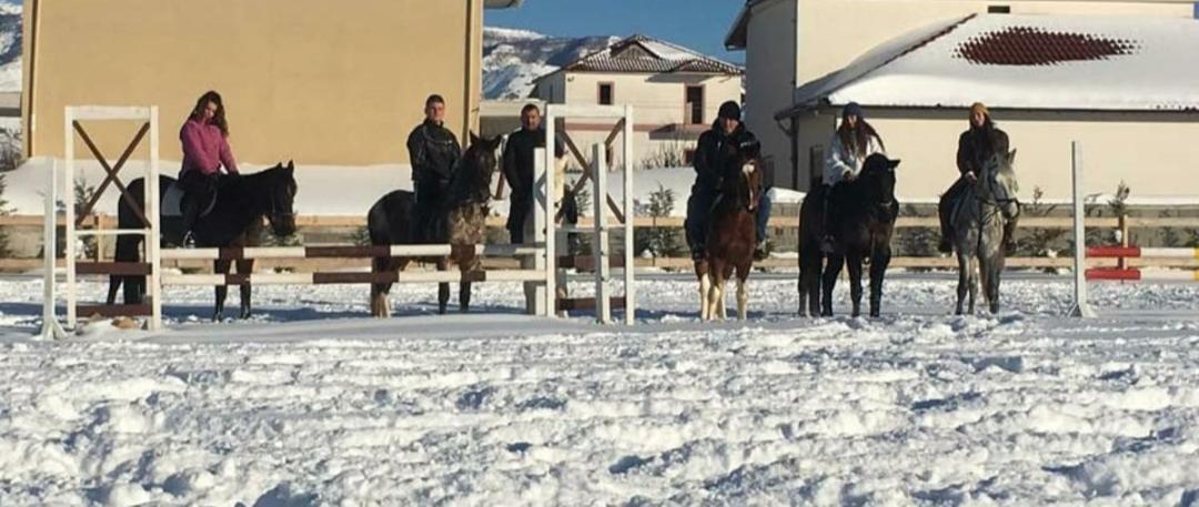 House Of Horses Shtepia E Kuajve Hotel Korce Exterior foto