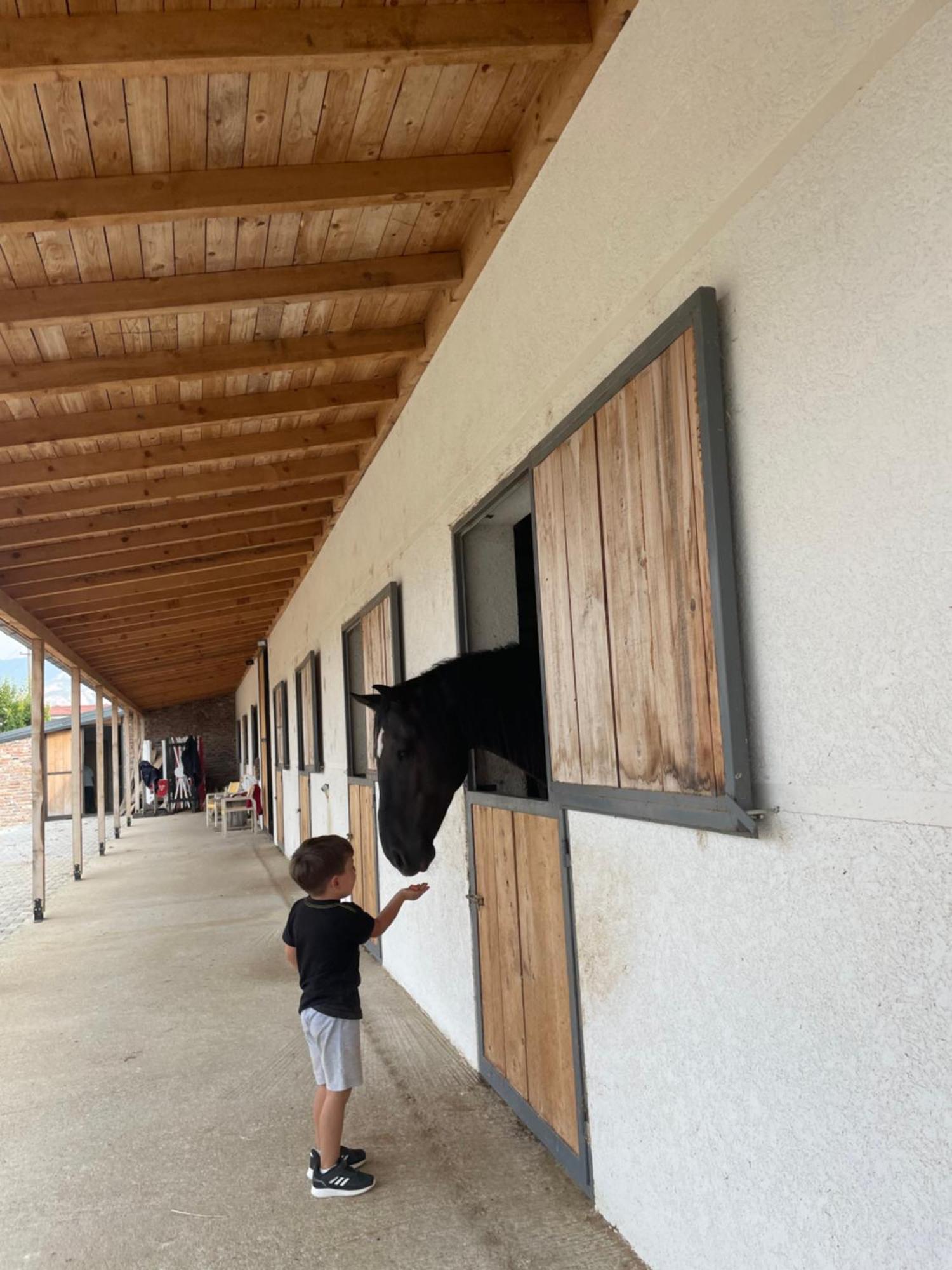 House Of Horses Shtepia E Kuajve Hotel Korce Exterior foto
